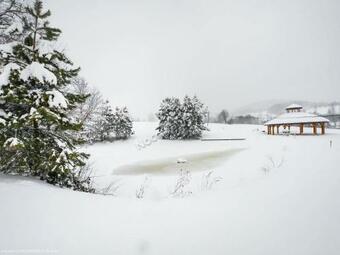 Bieszczadzkie Dworki