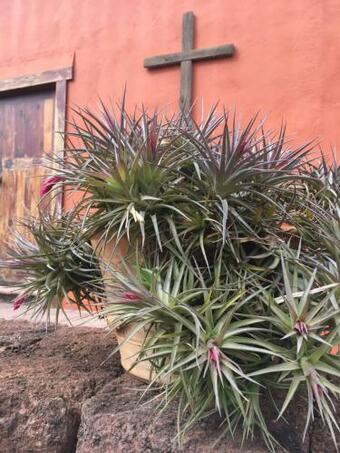 Agroturismo Haciendas Del Valle - Las Kentias