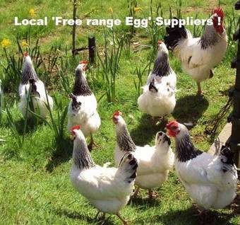 Serendipity Bed And Breakfast