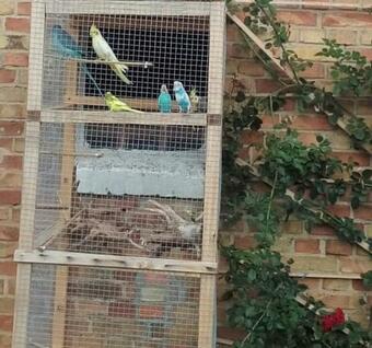 Agroturystyka Nad Stawem