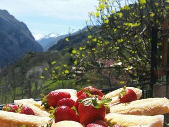 Bed & Breakfast Vis 101