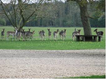Mareham House Bed & Breakfast