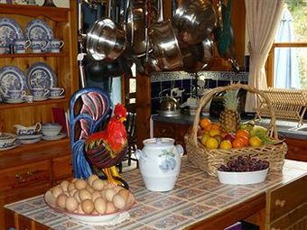 Bed & Breakfast Woodpeckers