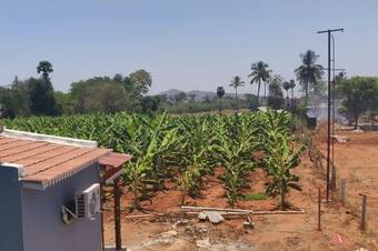 Agroturismo Jungle Hut