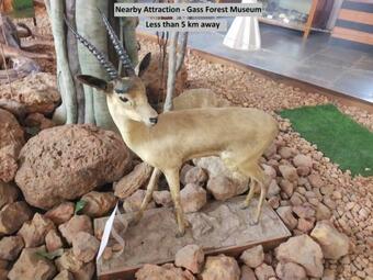 Oyo 35788 Hotel Sree Saravana Bhavan