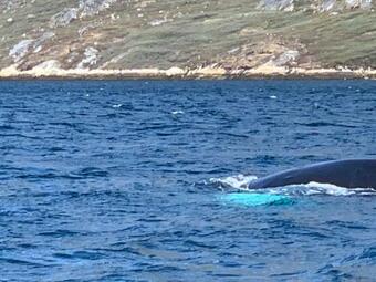 Nuuk Hotel Apartments By Hhe