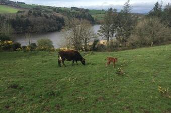 The Byre At Coco?s Farm