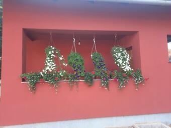 Ku?a Za Odmor Cordon