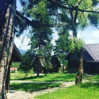 Apartamento Elephant Family