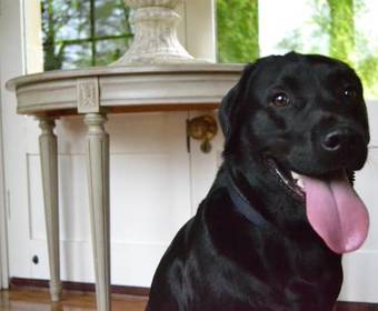 Beechfield House Hotel And Restaurant