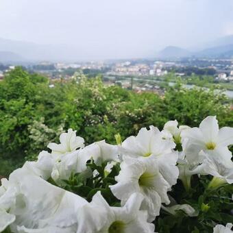 Apartamento Villa Jasikovac