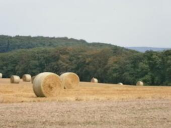 Apartamento Ferienwohnung-malanders