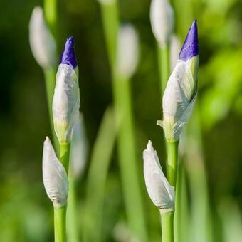 Apartamento Verderame: Natura E Relax