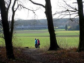 Bed En Breakfast Bergh En Bos