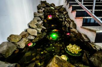 Ver fotos