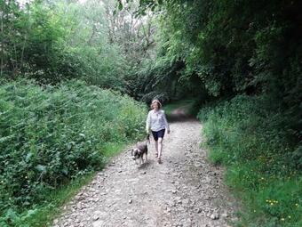 Larkworthy Farm Glamping Holiday Cabins