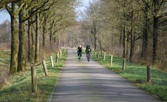 Bed & Breakfast De Burcht-drenthe