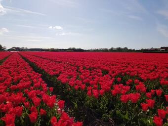 Kust-, Fiets-, Wandel-, Rust- & Cultuurlocatie