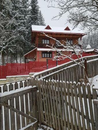 Cabana Johnny Nistor