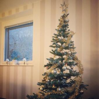 Entire House Iris & Arnika