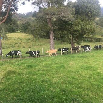 Finca El Pent�gono Villa De Leyva