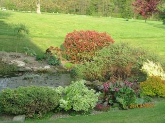 Bed & Breakfast Sayang House