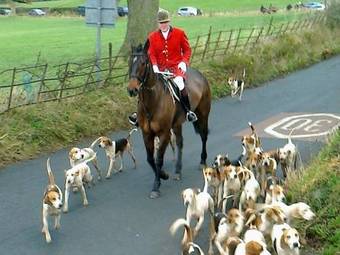 Tithe Barn Bed And Breakfast