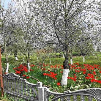 Agroturismo ????????? ??????? ?? ????????