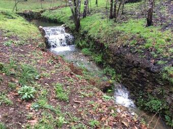 Casa De Lord Syd Quinta Da Baralha Chestnut
