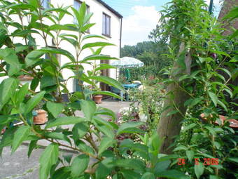 Bed & Breakfast The Elms