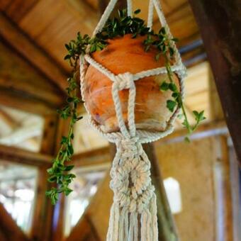 Bed & Breakfast Ecofinca Fuente Alegre