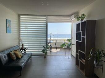 Apartamento Acogedor Y Hermoso Departamento En Primera Línea De Playa Brava