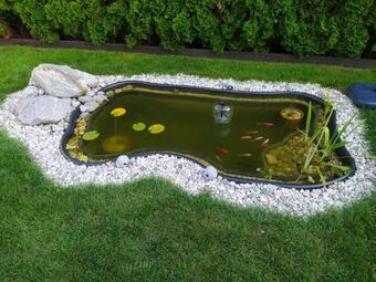 Room With Private Bathroom, Orchid Room