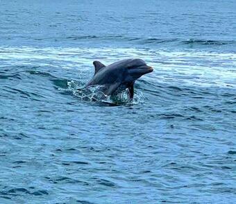 Villa De Los Sue�os