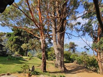 Agroturismo La Maima