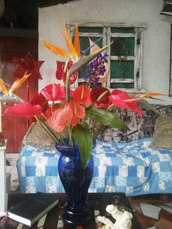 Hostal Portal De Los Farolitos