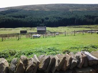 Hill Top Cottage - Killhope