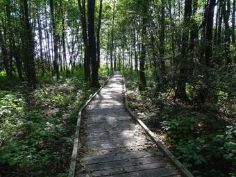 Siedlisko Garbat�wka