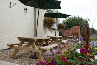 Posada The Wellington Heifer