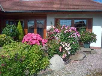 Hostal Pinetree Lodge Druridge Bay