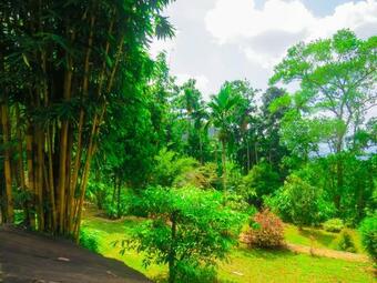 Hotel Sobakee Eco Resort