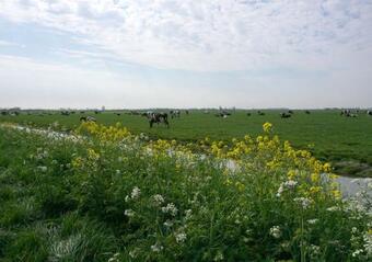 Bed And Breakfast Welcome