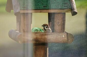 T'h�s Bed & Breakfast