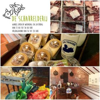 Hakuna Matata Peddelenzo