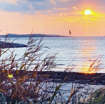 Sj�stugan Vallersvik