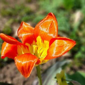 Hostal Pensiunea Energy