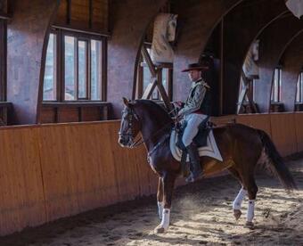 Hostal Domeniul Dracula Dane?