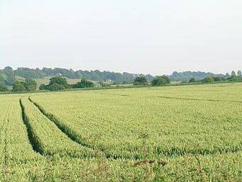 The Wool Room Cottage