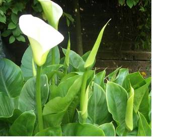 Hostal The Sea Spirit Guest House