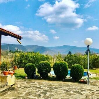 ???? ?? ????? ?????? ??.????